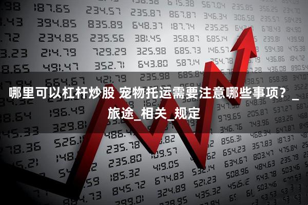 哪里可以杠杆炒股 宠物托运需要注意哪些事项？_旅途_相关_规定