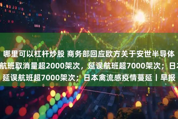 哪里可以杠杆炒股 商务部回应欧方关于安世半导体问题的声明；全美9日航班取消量超2000架次，延误航班超7000架次；日本禽流感疫情蔓延丨早报