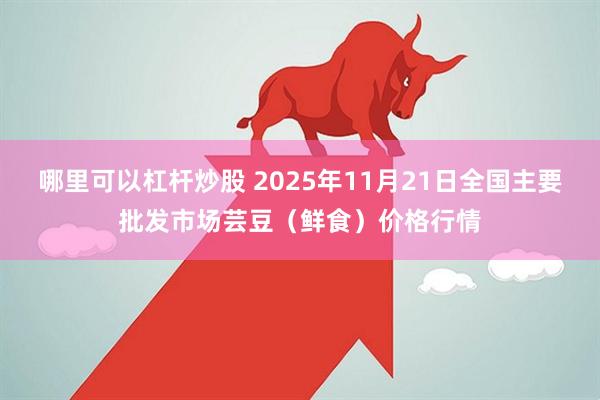 哪里可以杠杆炒股 2025年11月21日全国主要批发市场芸豆（鲜食）价格行情