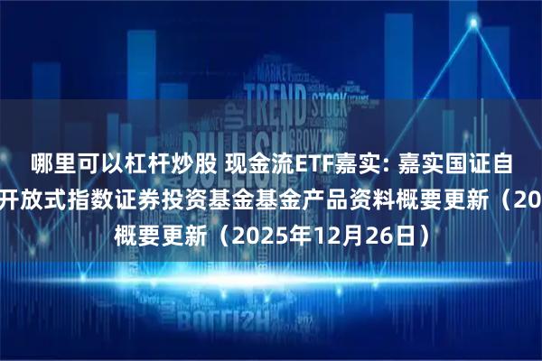 哪里可以杠杆炒股 现金流ETF嘉实: 嘉实国证自由现金流交易型开放式指数证券投资基金基金产品资料概要更新（2025年12月26日）